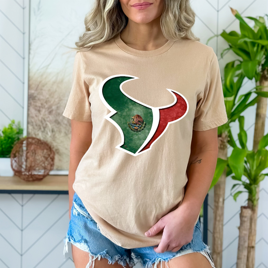 Texans MEXICO 🇲🇽