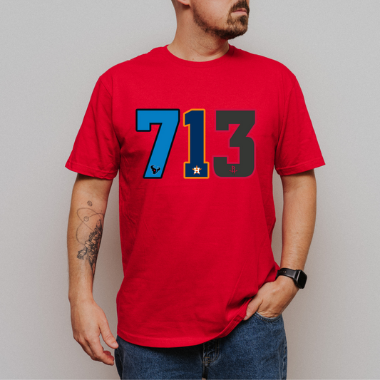 713